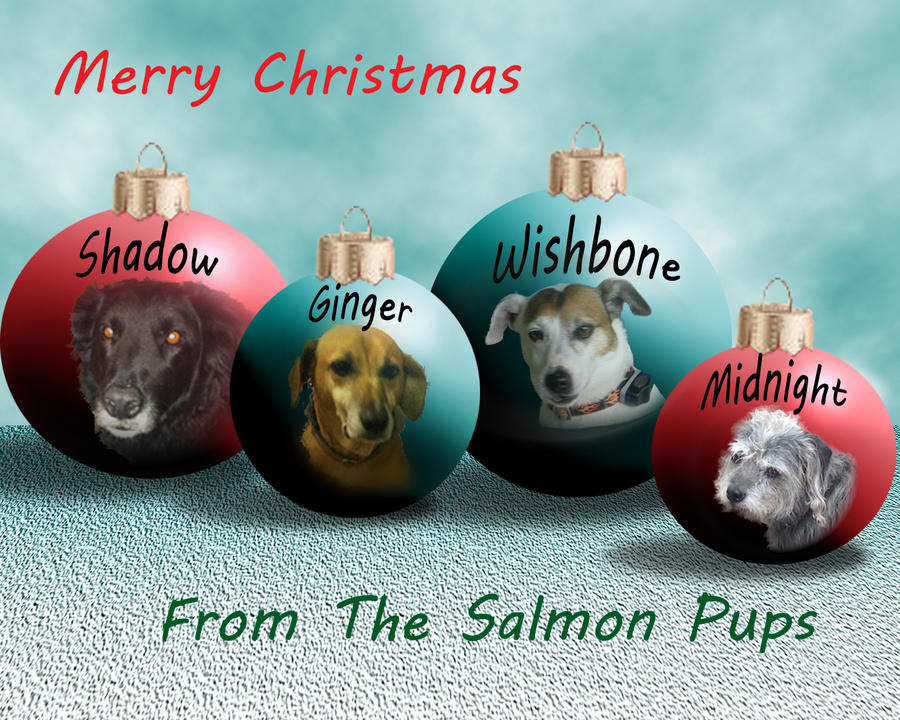 Christmas Greeting From Dogs 2014.jpg