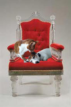 Wishbone and Cat on throne.jpg