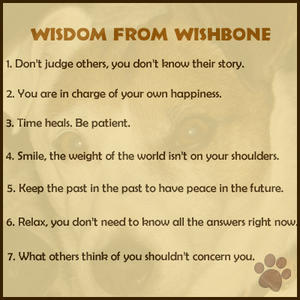 wisdom from wishbone 2 copy.jpg