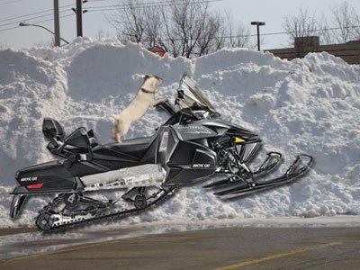 Wish-on-Snowmobile.jpg