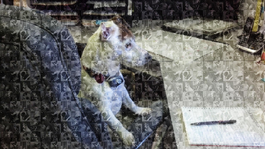 Wishbone mosaic.jpg