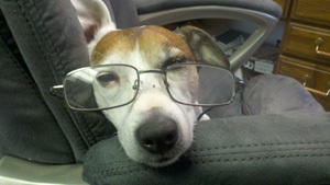 Wishbone-with-glasses.jpg