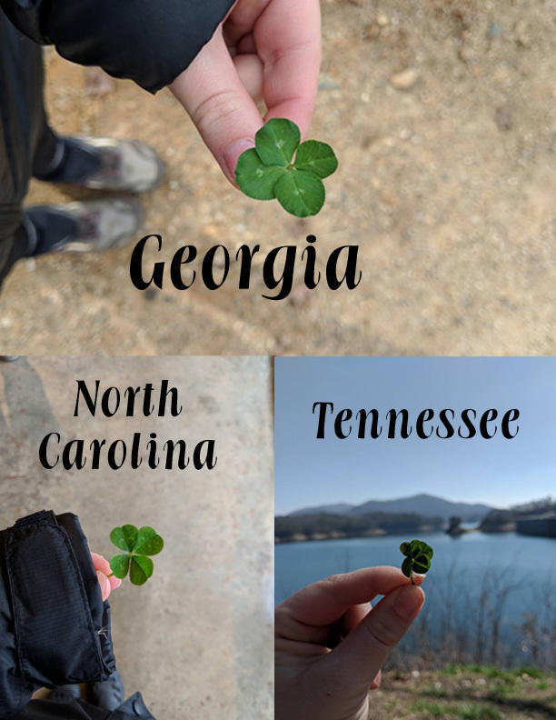 Georgia NC Tennessee 4 leaf clovers.jpg