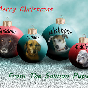 Christmas Greeting From Dogs 2014.jpg