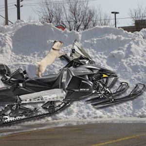 Wish-on-Snowmobile.jpg