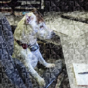 Wishbone mosaic.jpg