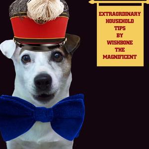 Wishbone the Magnificent.jpg