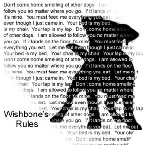 Wishbone on broom ride.jpg