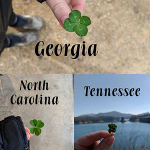 Georgia NC Tennessee 4 leaf clovers.jpg