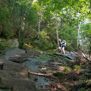 Traci coming down steps.jpg