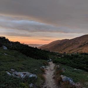 Traci tree overlook.jpg